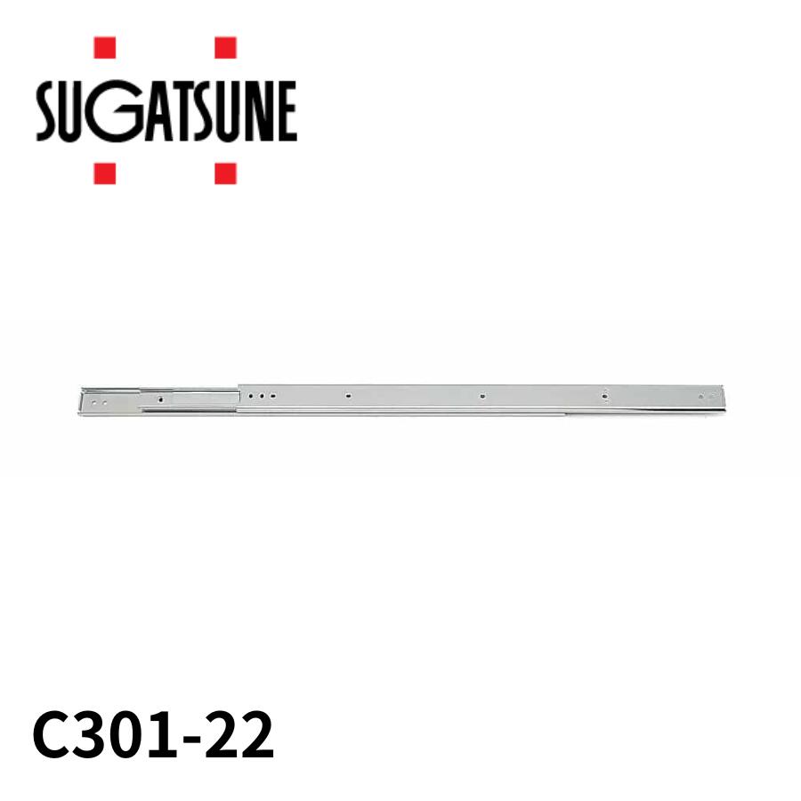 アキュライド C301-22 ダブルスライドレール558mm 320-5517 日本アキュライド ACCURIDE